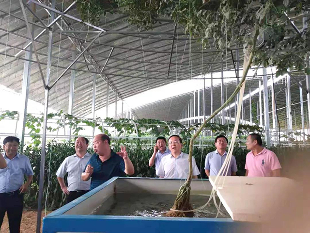 &#20048;&#40060;&#32593;&#39029;&#29256;&#22312;&#32447;&#30331;&#24405;&#45;&#108;&#101;&#121;&#117;&#40;&#20013;&#22269;&#41;